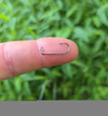 Fine wire 90° jig head hook. Excelent dropshot hook.
